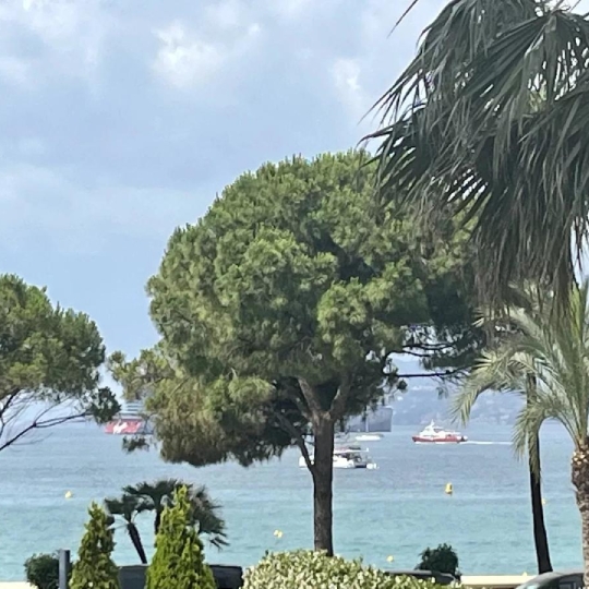 Annonces GRASSE : Appartement | CANNES (06400) | 76.00m2 | 1 690 000 € 