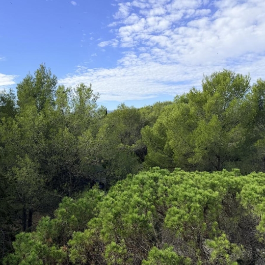  AM IMMO GRASSE : Appartement | SAINT-RAPHAEL (83700) | 61 m2 | 1 300 &euro; 