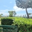  Annonces GRASSE : Appartement | CANNES (06150) | 44 m2 | 370 000 &euro; 