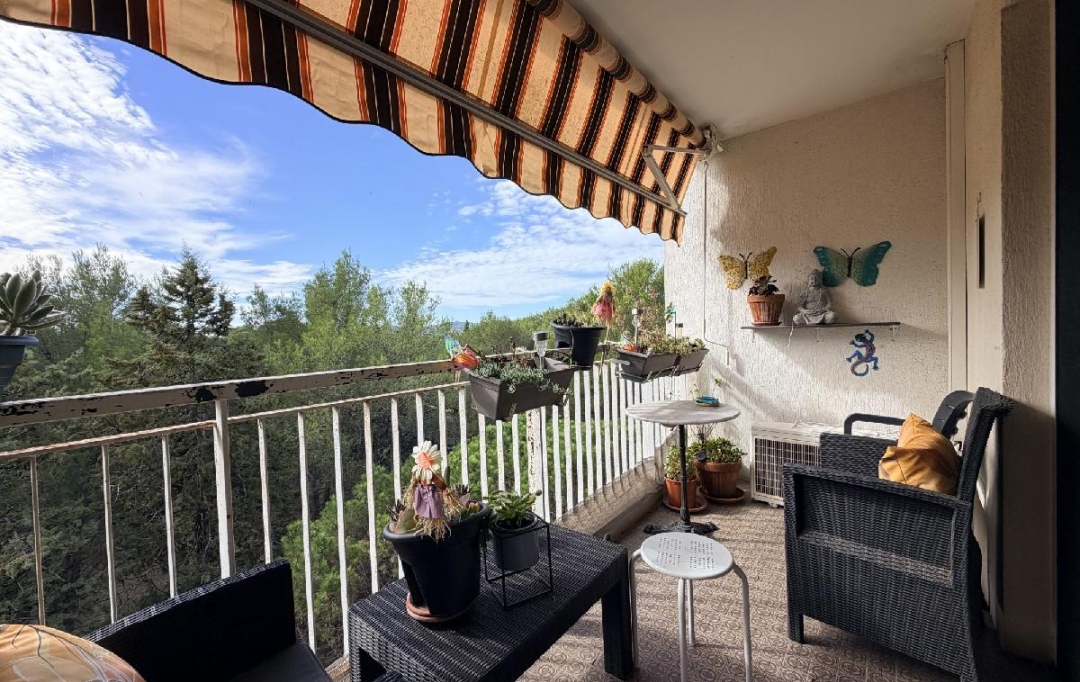 AM IMMO GRASSE : Appartement | SAINT-RAPHAEL (83700) | 61 m2 | 1 300 &euro; 