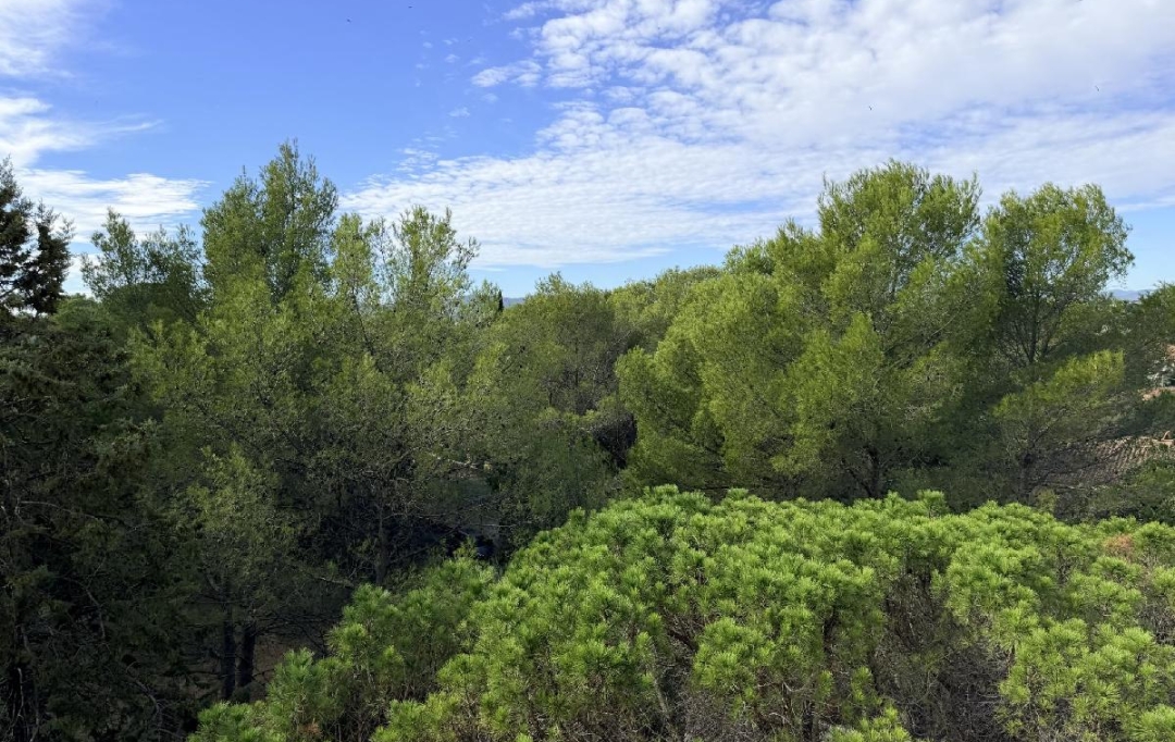 AM IMMO GRASSE : Appartement | SAINT-RAPHAEL (83700) | 61 m2 | 1 300 &euro; 