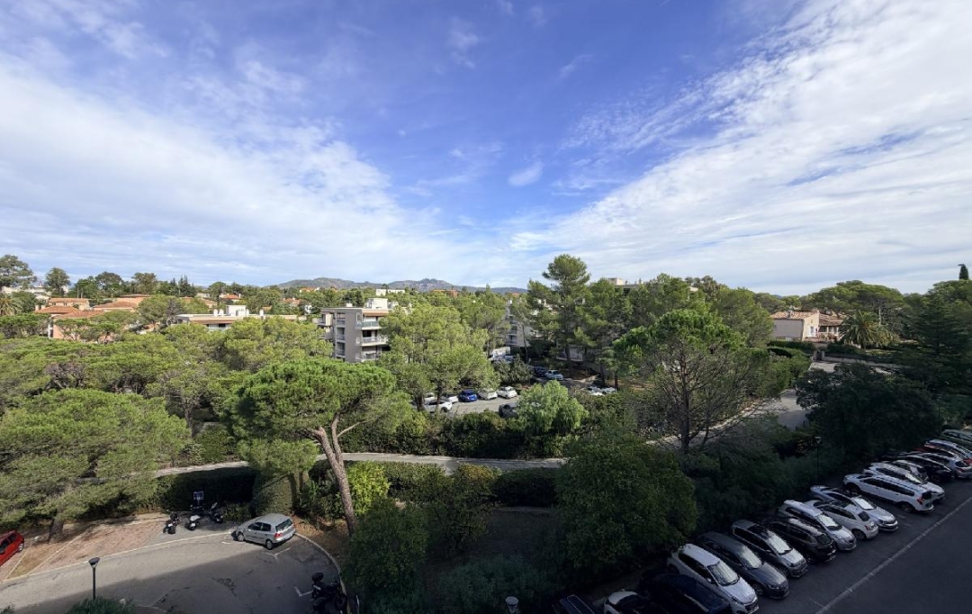 AM IMMO GRASSE : Appartement | SAINT-RAPHAEL (83700) | 61 m2 | 1 300 &euro; 