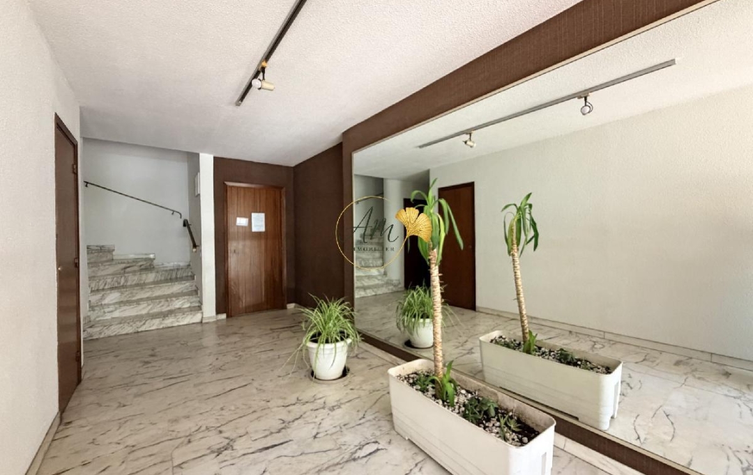 AM IMMO GRASSE : Appartement | GRASSE (06130) | 51 m2 | 219 000 &euro; 