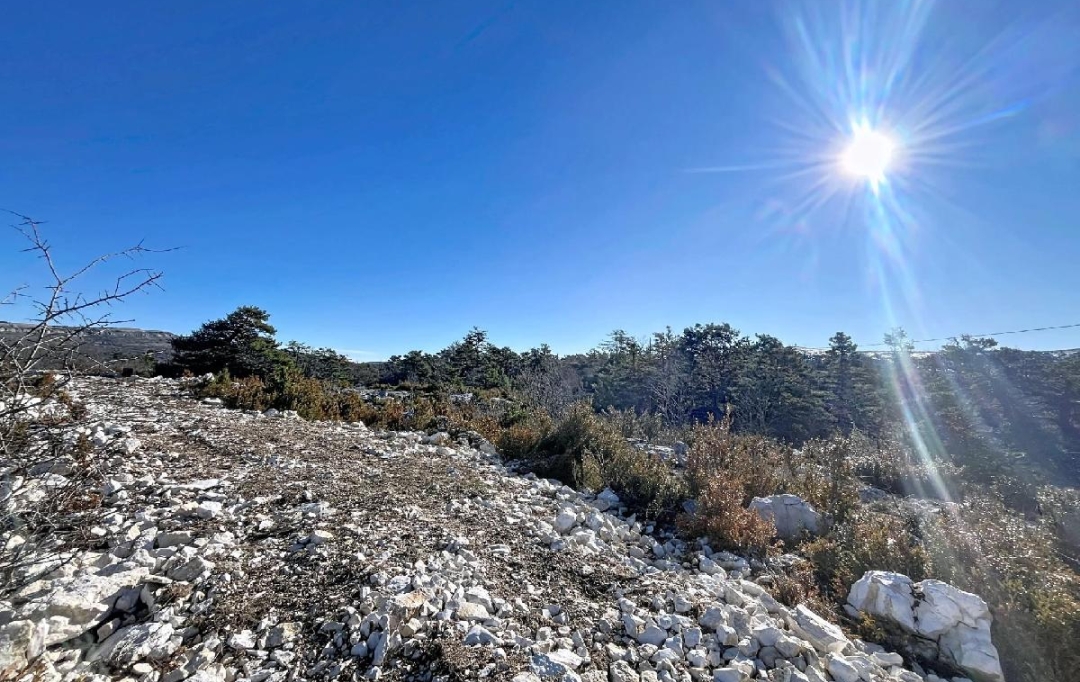 Annonces GRASSE : Terrain | CAUSSOLS (06460) | 3 223 m2 | 120 000 &euro; 