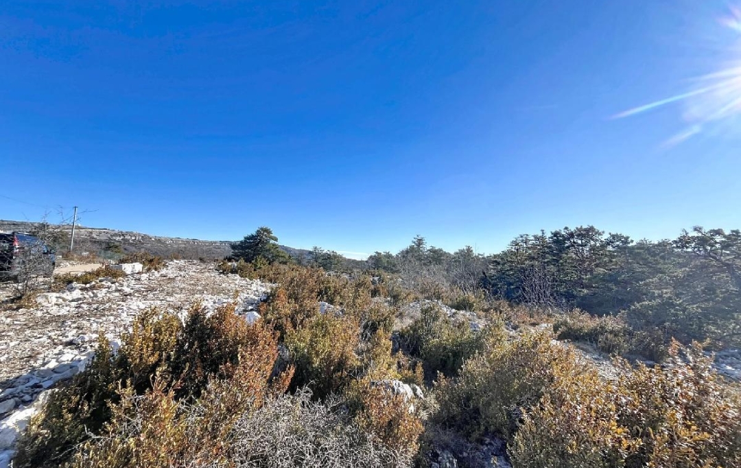 Annonces GRASSE : Terrain | CAUSSOLS (06460) | 3 223 m2 | 120 000 &euro; 